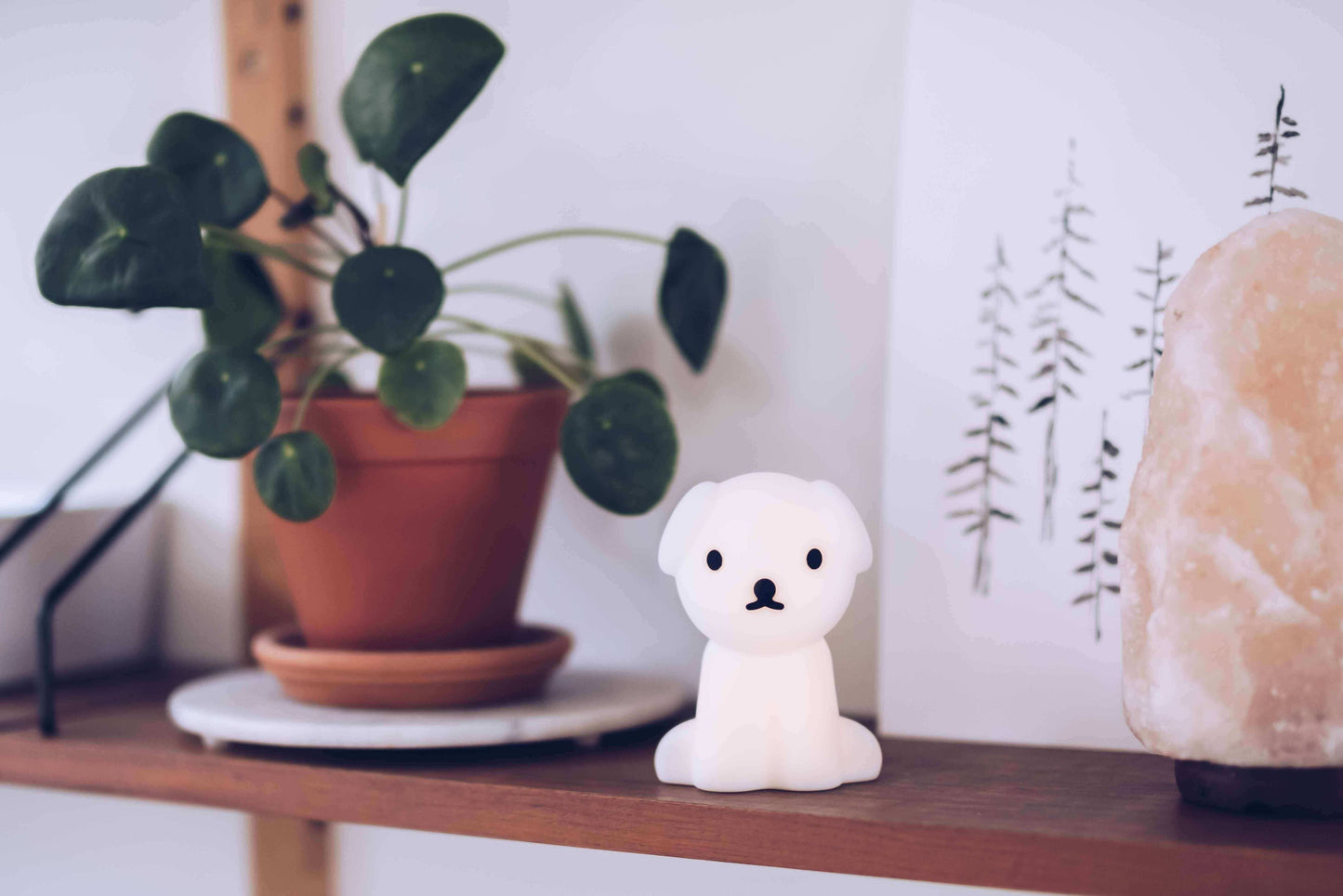 Snuffy: Bundle of Light (S)