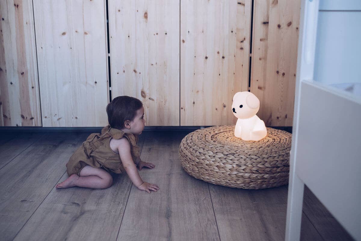 Snuffy: Bundle of Light (S)