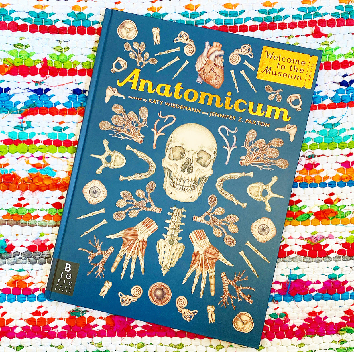 Anatomicum: Welcome to the Museum | Jennifer Z. Paxton (Author) + Katy Wiedemann (Illustrated by)