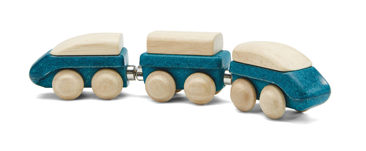 Hybrid Train