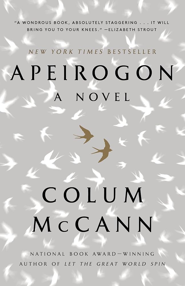 Apeirogon: A Novel cover image