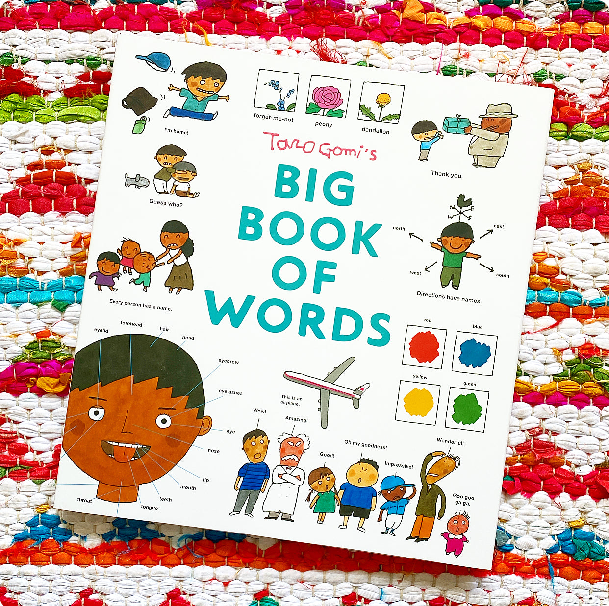 Taro Gomi's Big Book of Words | Taro Gomi