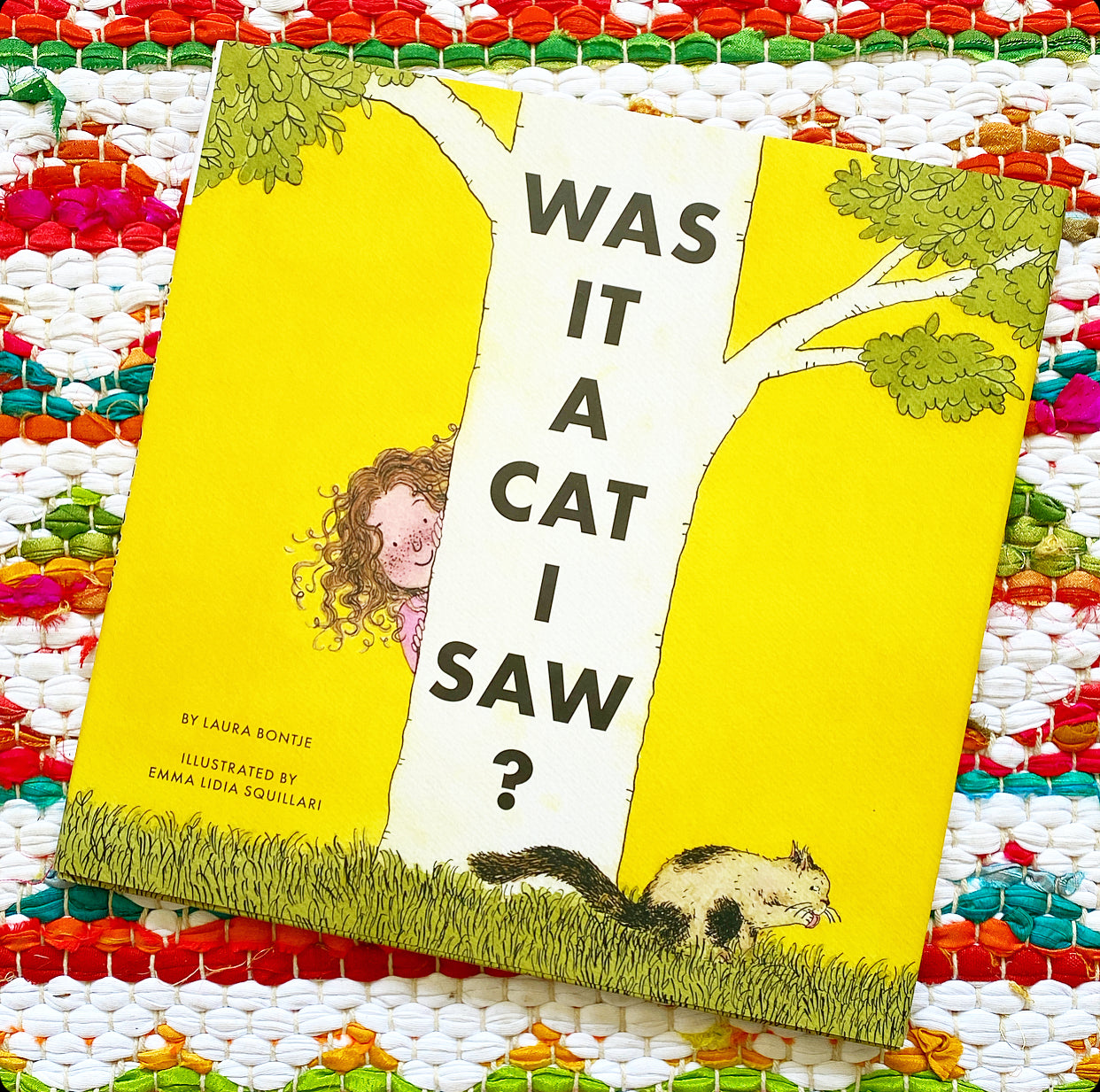 Was It a Cat I Saw? | Laura Bontje (Author) and Emmalidia Squillari (Illustrator)