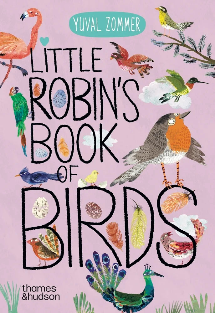 Little Robin's Book of Birds | Yuval Zommer
