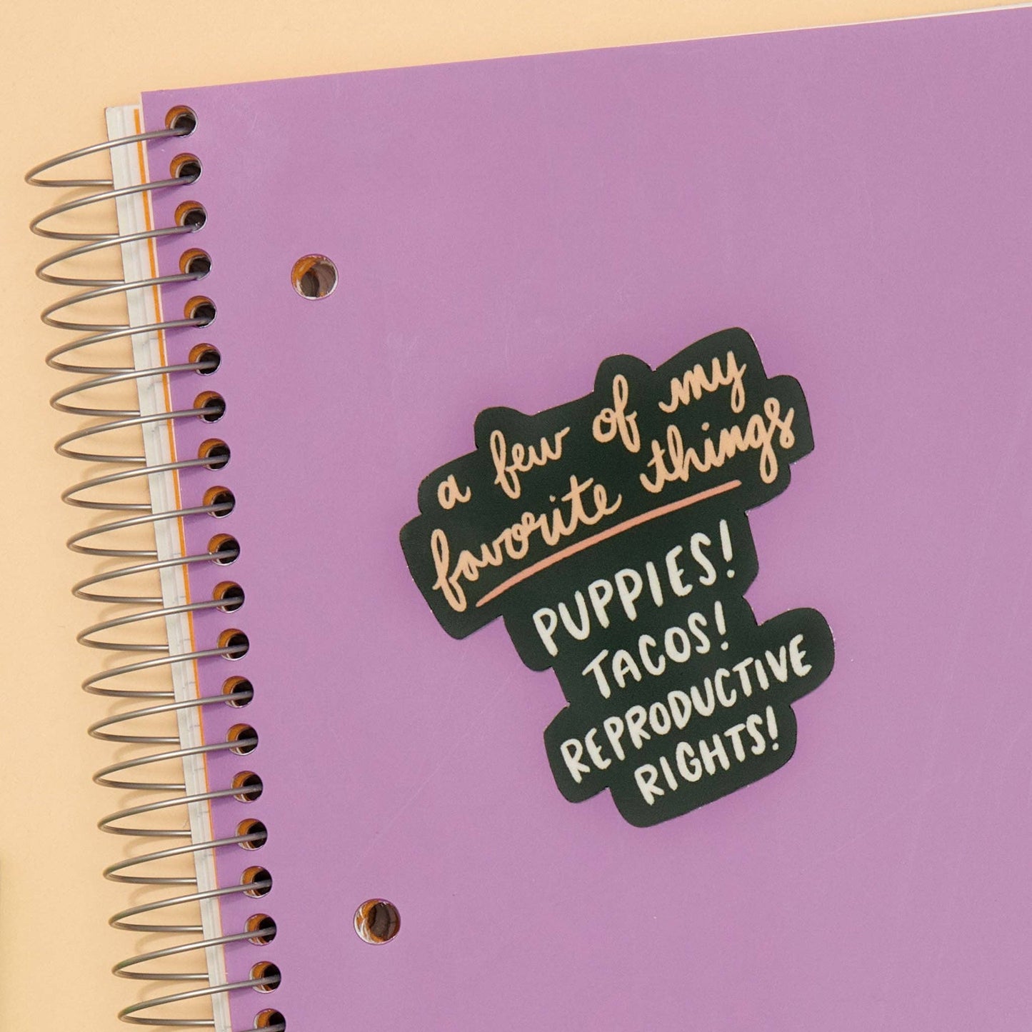 Favorite Things Vinyl Feminist Sticker