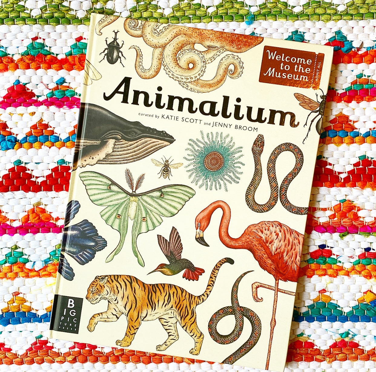 Animalium: Welcome to the Museum | Jenny Broom (Author) + Katie Scott (Illustrated by)