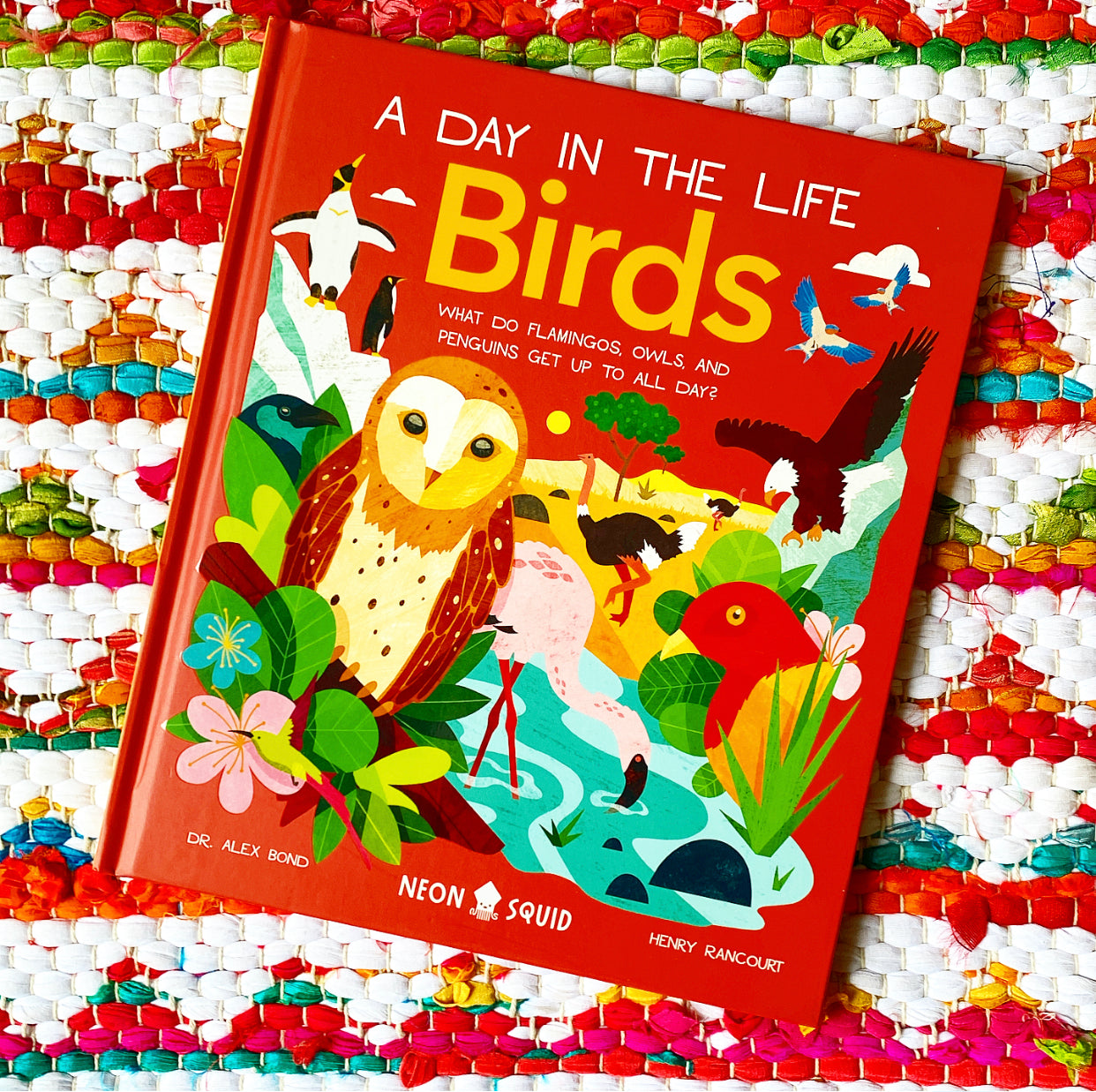 Birds (a Day in the Life): What Do Flamingos, Owls, and Penguins Get Up to All Day? | Alex Bond, Neon Squid, Rancourt