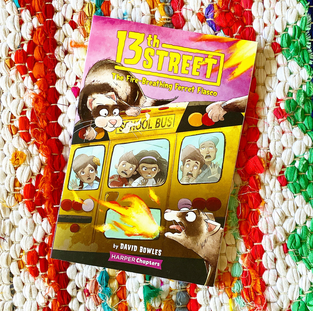 13th Street #2: The Fire-Breathing Ferret Fiasco | David Bowles, Clester