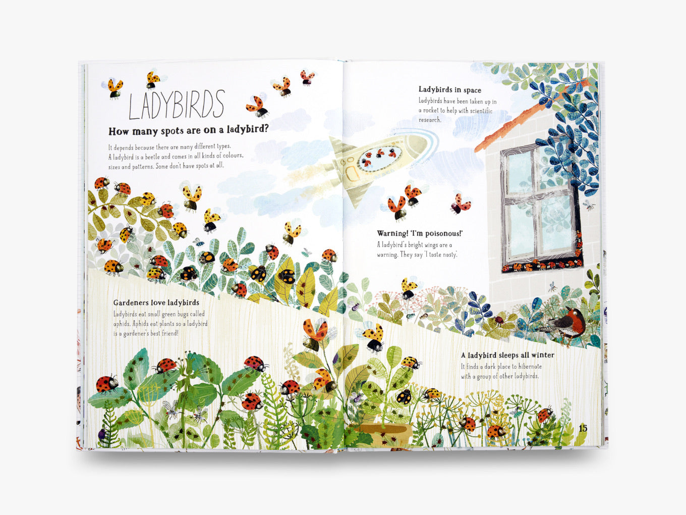 Big Book of Bugs | Yuval Zommer