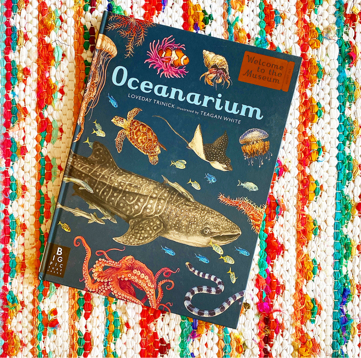 Oceanarium: Welcome to the Museum | Loveday Trinick, White ??? Brave ...