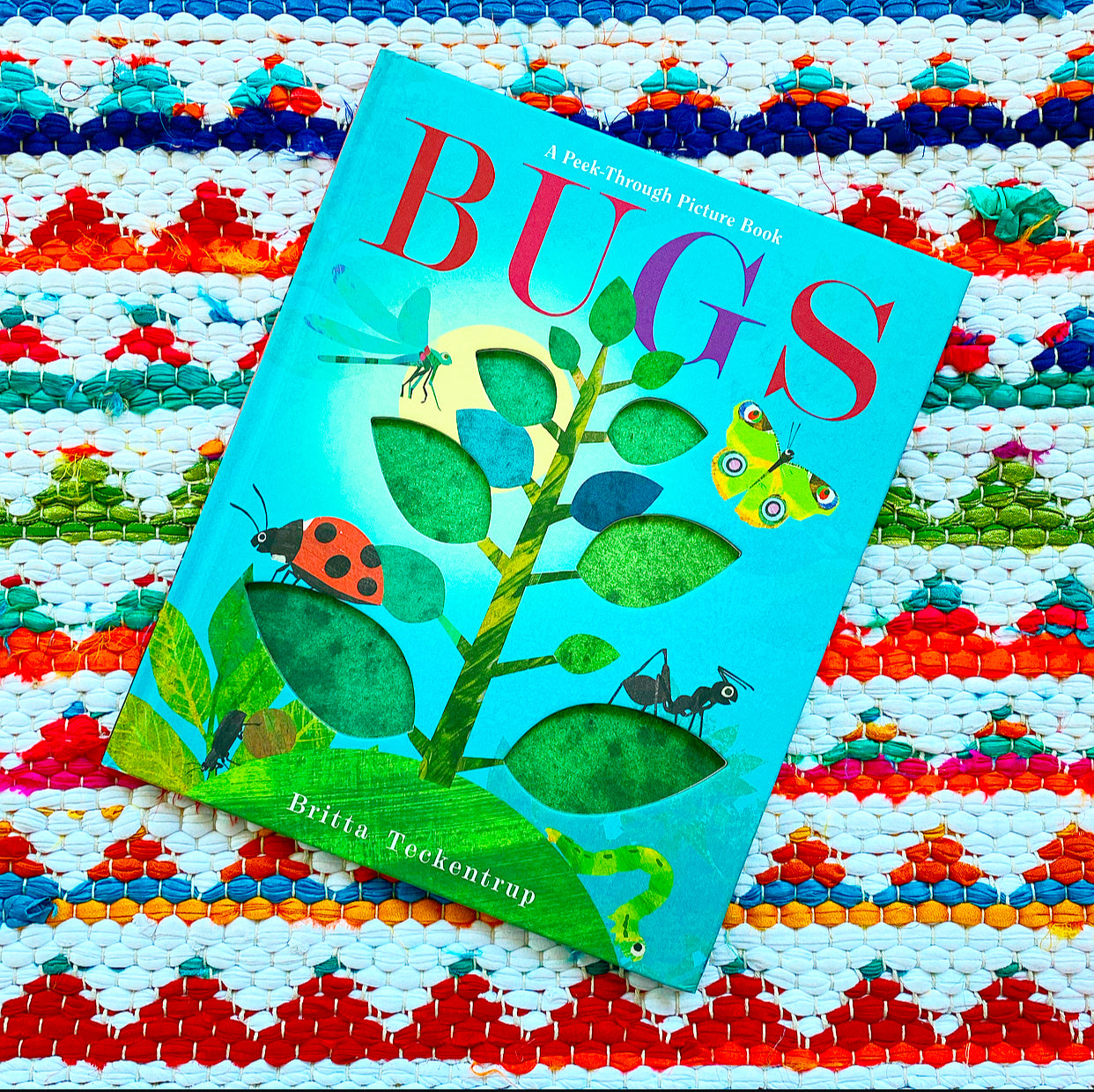 Bugs: A Peek-Through Picture Book | Britta Teckentrup