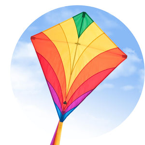 Single Line Eddy Rainbow Kite | HQ Kites USA