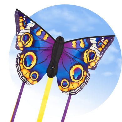 Butterfly Buckeye 