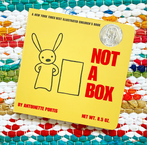 Not a Box | Antoinette Portis