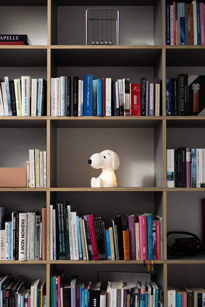 Snoopy: Bundle of Light
