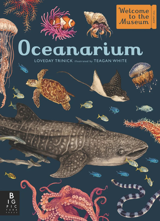 Oceanarium: Welcome to the Museum | Loveday Trinick, White