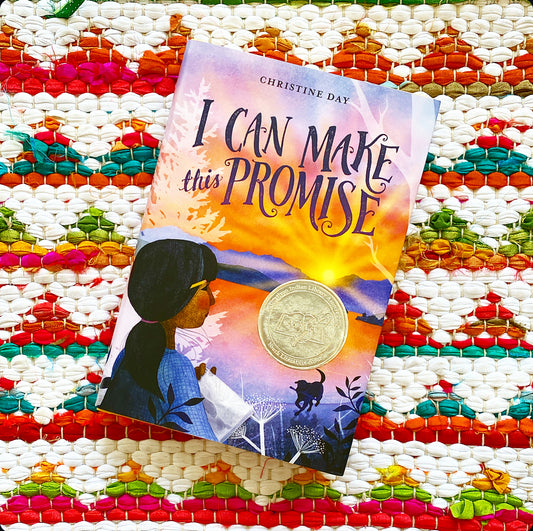 I Can Make This Promise | Christine Day