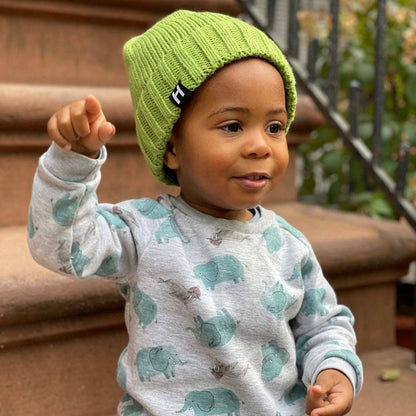 Baby + Kid Beanies - Pickles: 2-4 Yrs