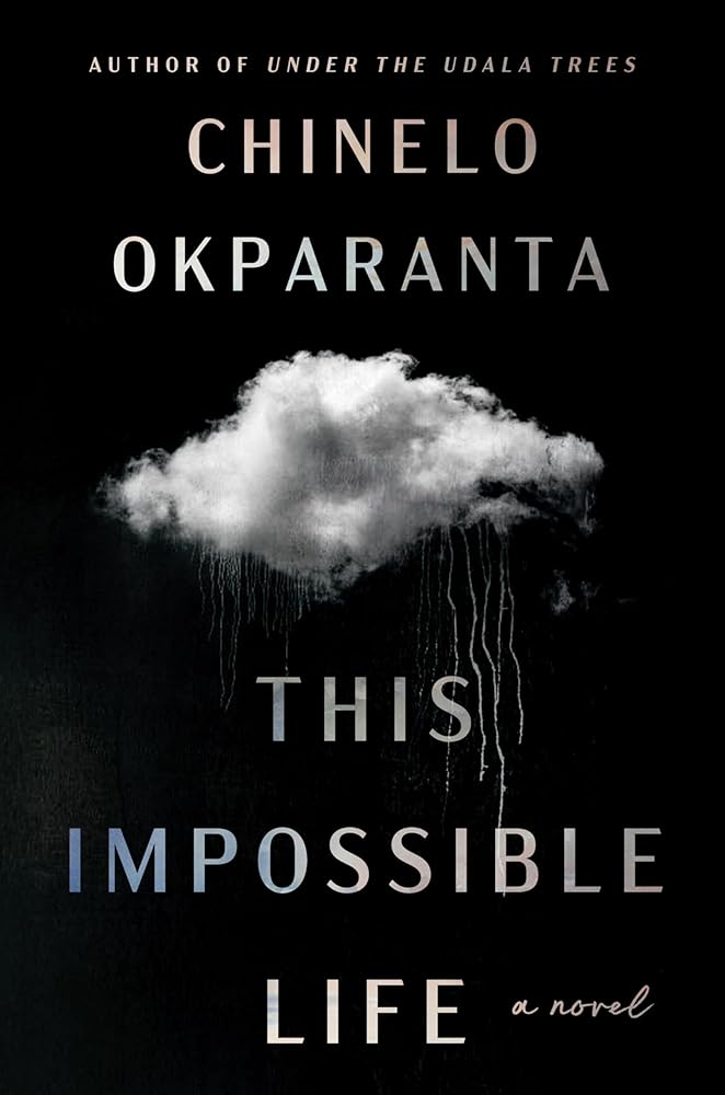 This Impossible Life: A Literary Saga of Two Siblings Bound by Love Across Continents and Decades cover image