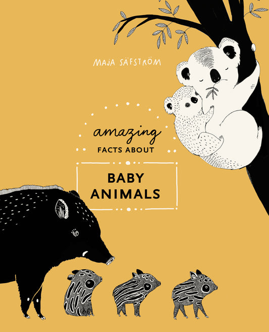 Amazing Facts About Baby Animals | MAJA SÄFSTRÖM