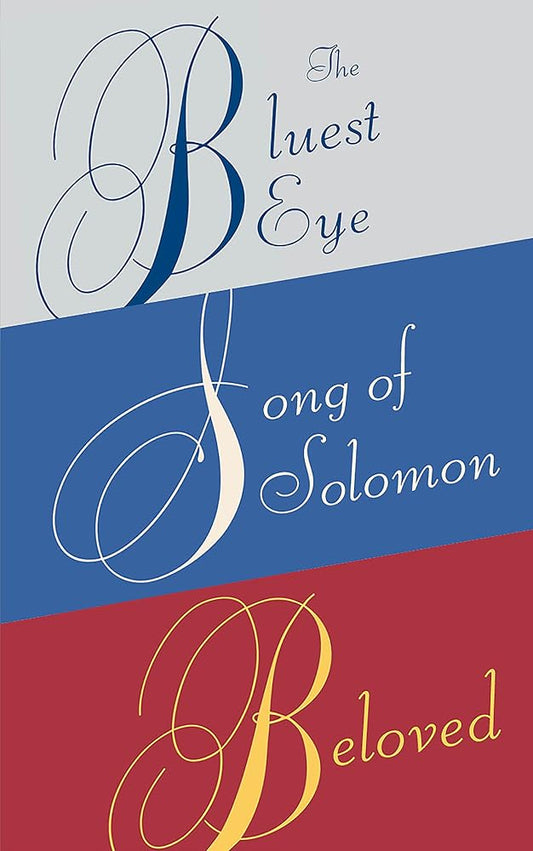 Toni Morrison Box Set: The Bluest Eye, Song of Solomon, Beloved cover image