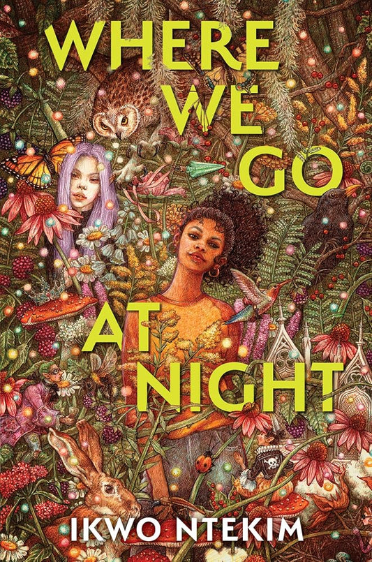 Where We Go at Night cover image