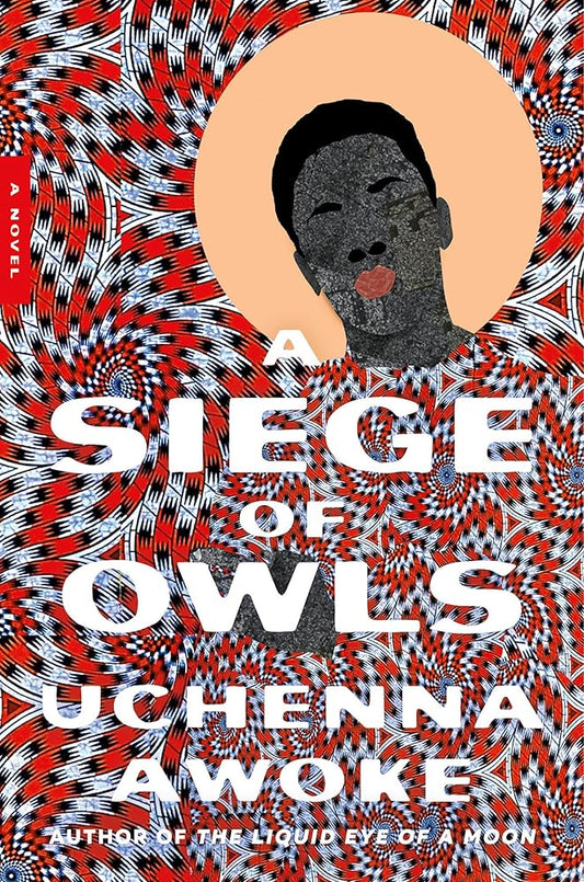 A Siege of Owls: A Novel cover image