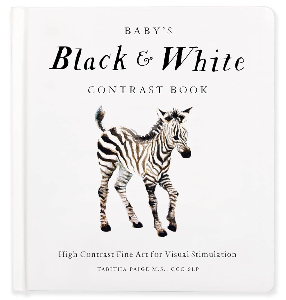Baby's Black and White Contrast Book: High-Contrast Art for Visual Stimulation at Tummy Time (Our Little Adventures Series) cover image
