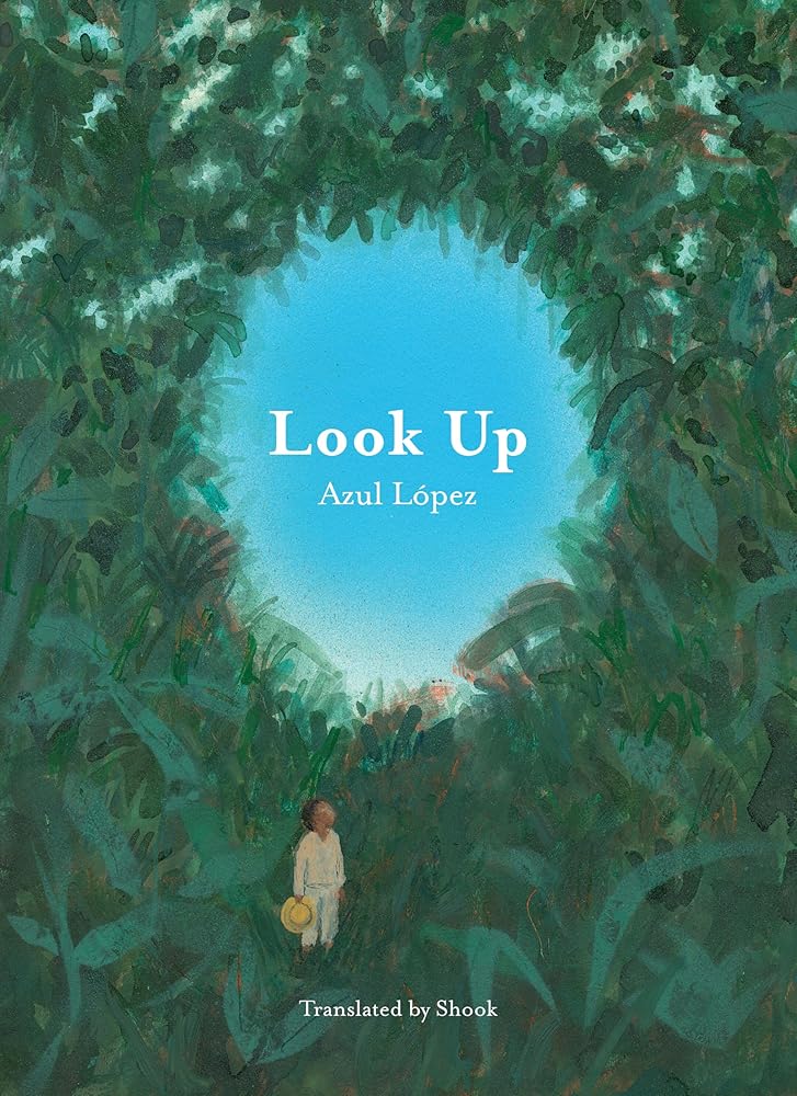 Look Up cover image