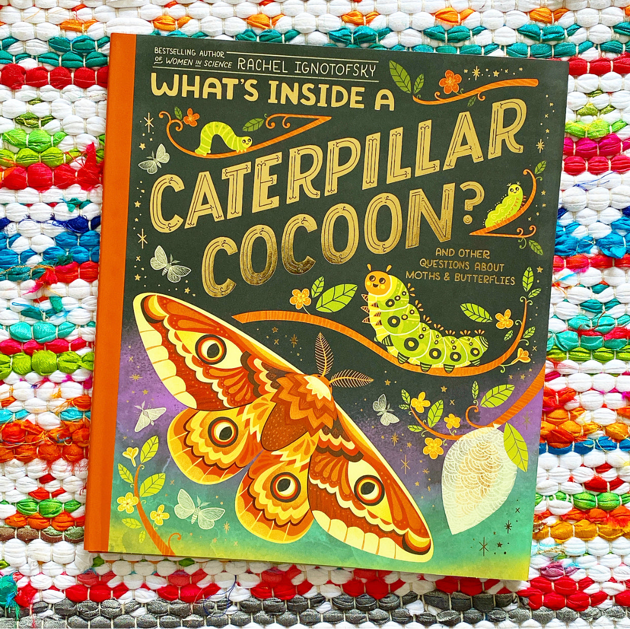 Caterpillar Cocoon Visitchile Cl Caterpillar Cocoon Visitchile Cl