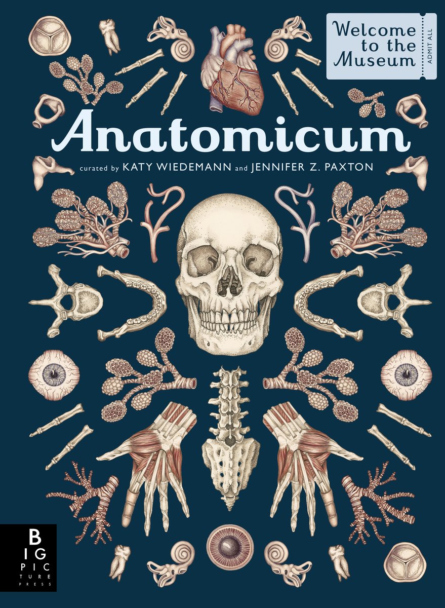 Anatomicum: Welcome to the Museum | Jennifer Z. Paxton (Author) + Katy Wiedemann (Illustrated by)