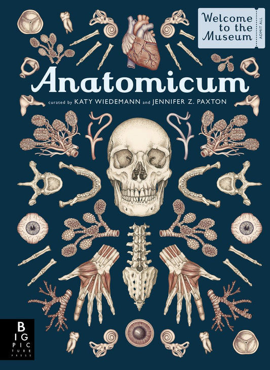 Anatomicum: Welcome to the Museum | Jennifer Z. Paxton (Author) + Katy Wiedemann (Illustrated by)