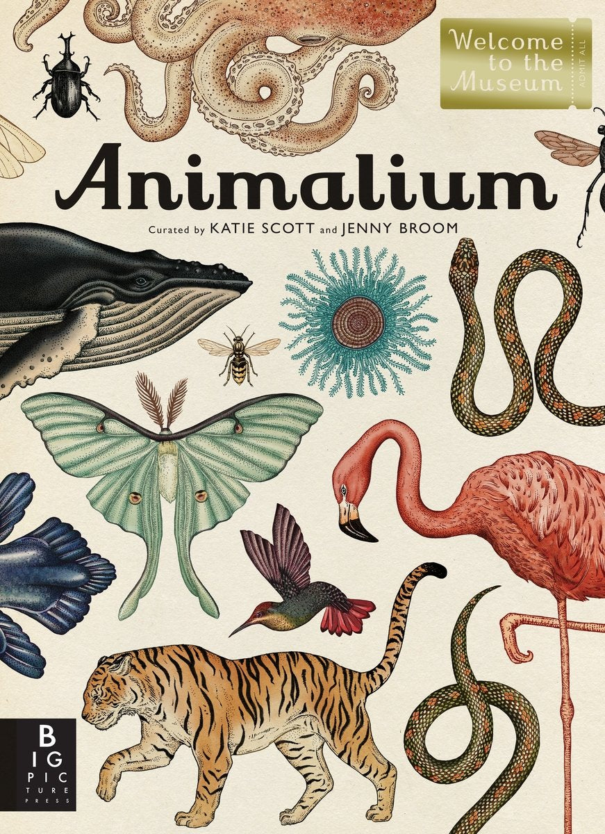 Animalium: Welcome to the Museum | Jenny Broom (Author) + Katie Scott (Illustrated by)