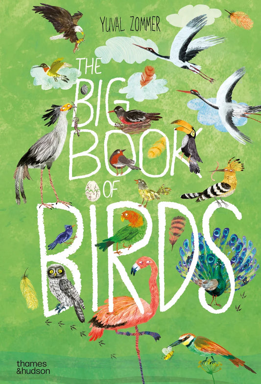 The Big Book of Birds | Yuval Zommer (Author)