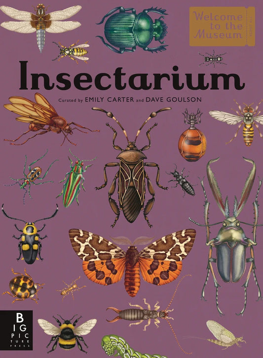 Insectarium Welcome to the Museum | Dave Goulson (Author) + Emily Carter (Illustrator)