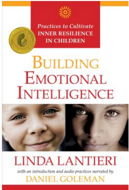 Building Emotional Intelligence: Practices to Cultivate Inner Resilience in Children | Linda Lantieri and Daniel Goleman