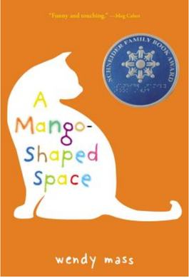 A Mango-Shaped Space | Wendy Mass