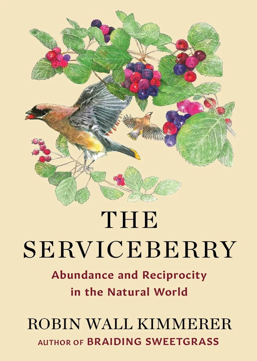 The Serviceberry: Abundance and Reciprocity in the Natural World | Robin Wall Kimmerer (Author) + John Burgoyne (Illustrated by)