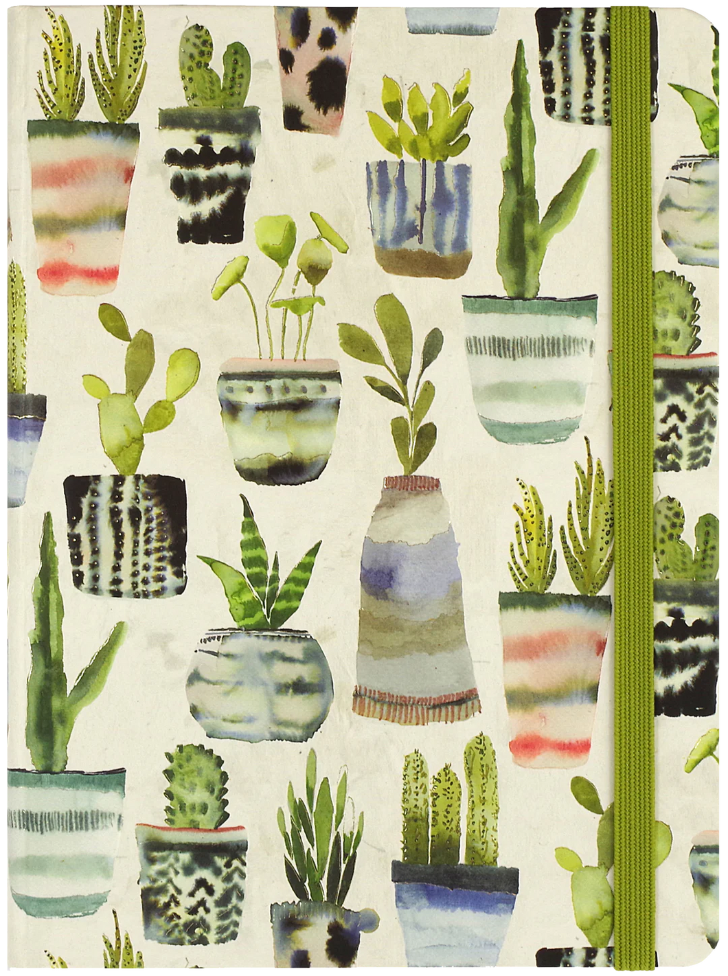 Watercolor Succulents Journal  | Peter Pauper Press