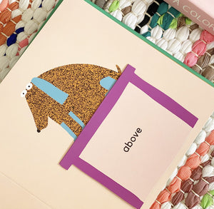 littleLIT STORY CLUB | [Board Books] Ages 0-3