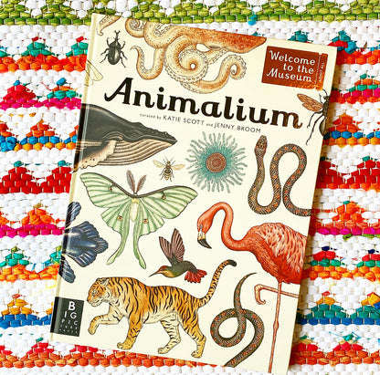 Animalium: Welcome to the Museum | Jenny Broom (Author) + Katie Scott (Illustrated by)