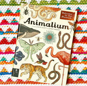Animalium: Welcome to the Museum | Jenny Broom, Scott