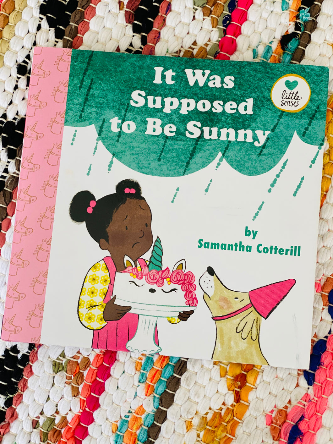 It Was Supposed to Be Sunny | Samantha Cotterill