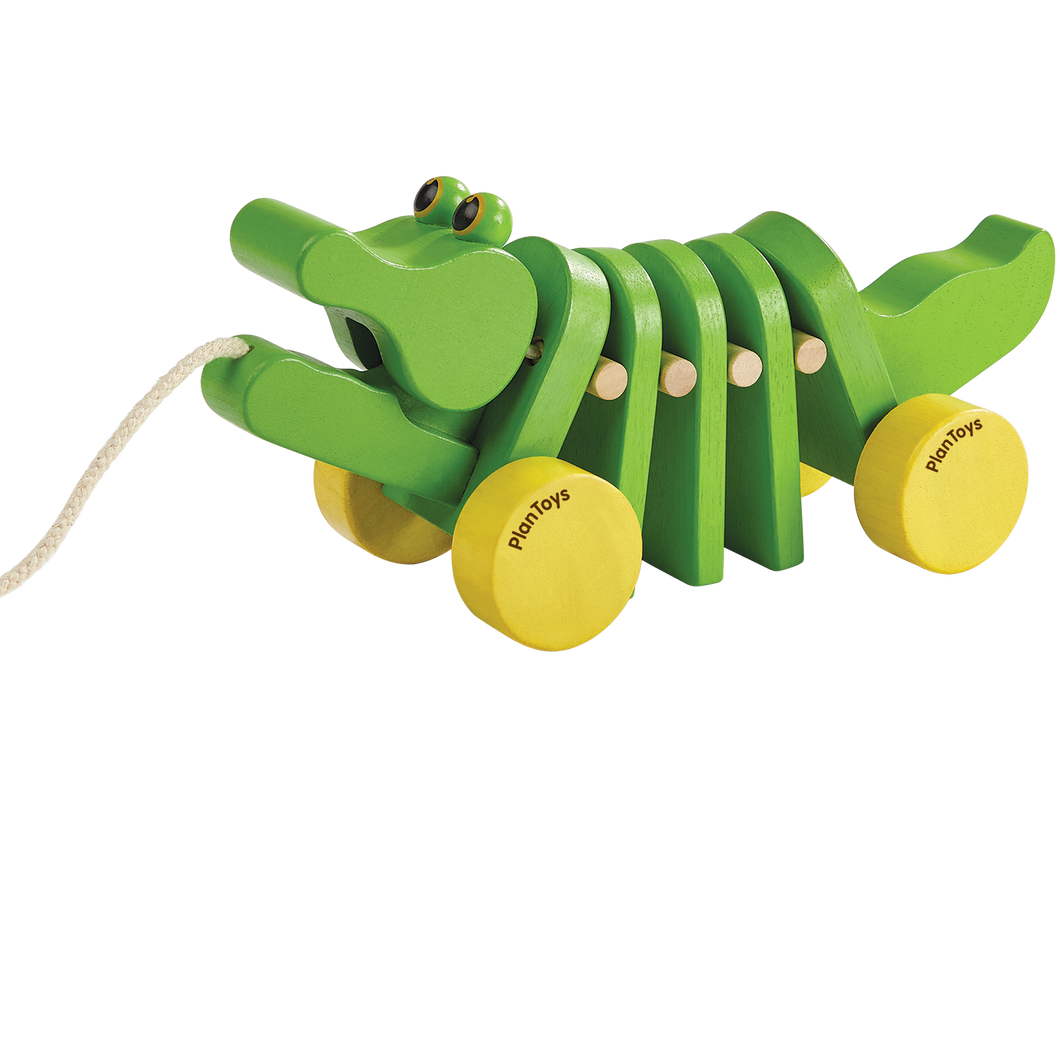 Dancing Alligator Push and Pull