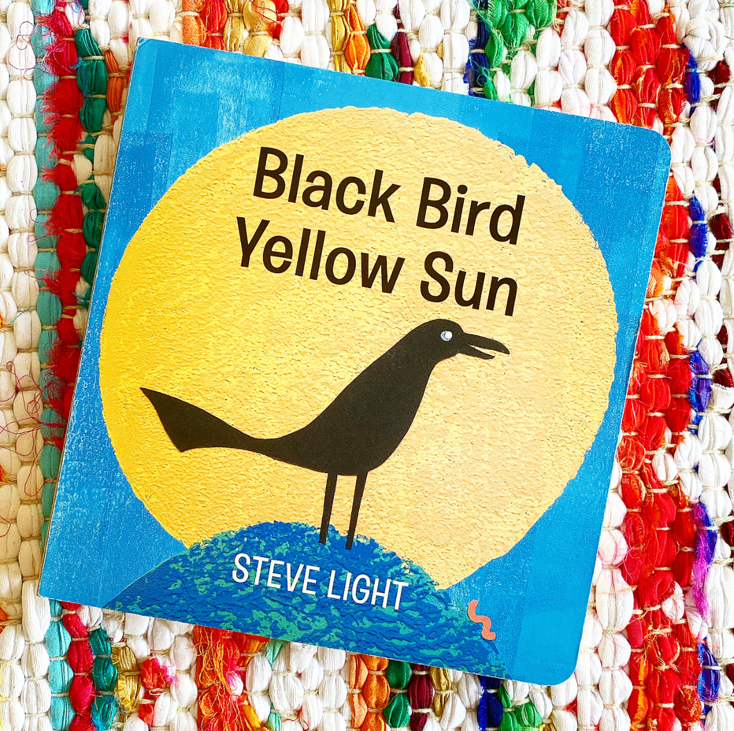 Black Bird Yellow Sun | Steve Light