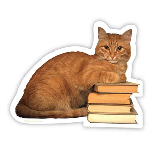 Smarty Cat Sticker | Gibbs Smith