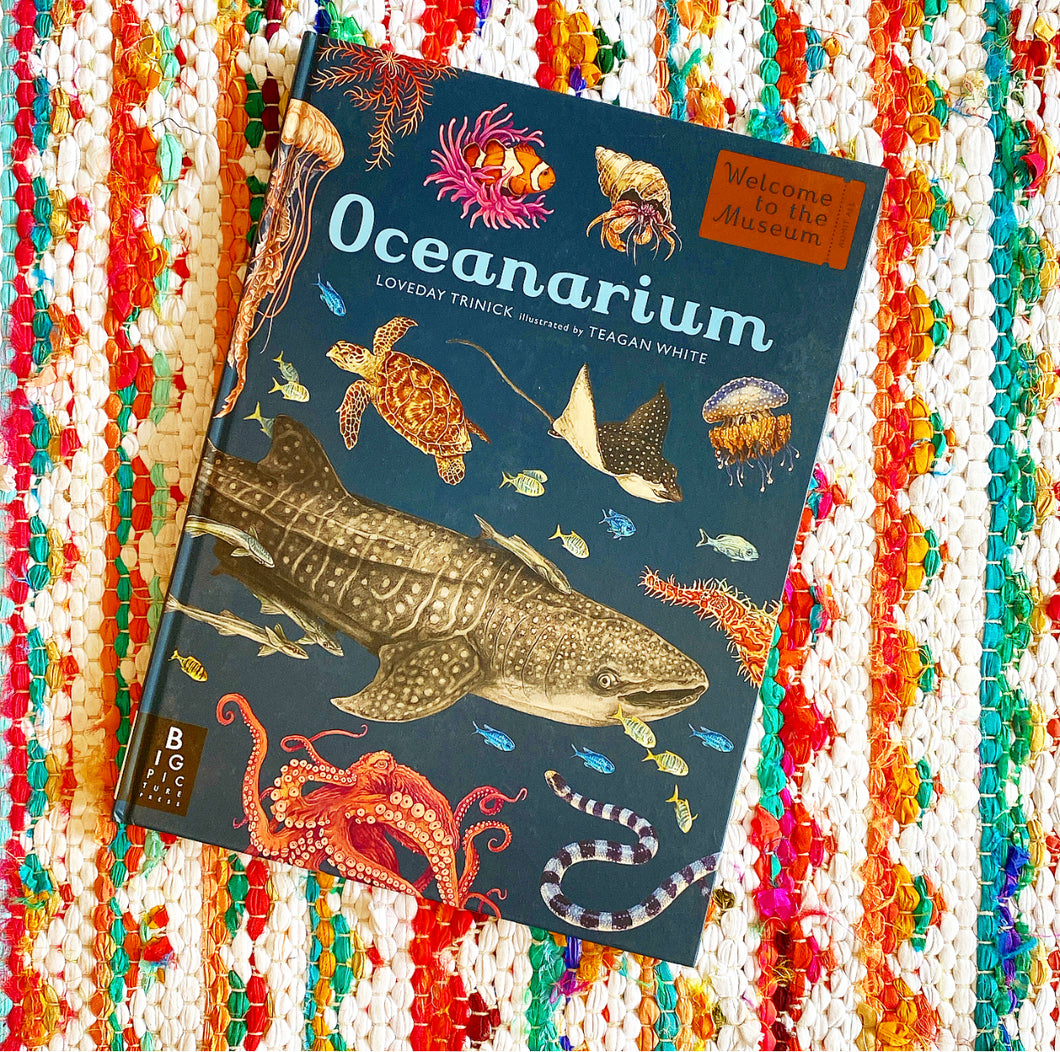Oceanarium: Welcome to the Museum | Loveday Trinick, White