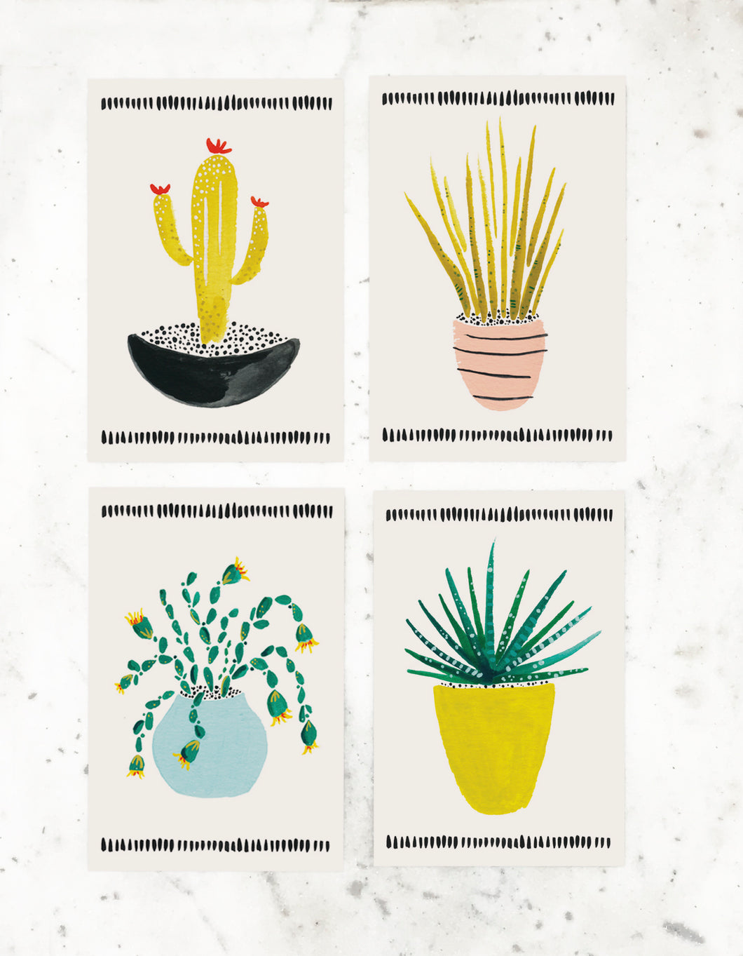 Cactus Postcard Collection | idlewild co