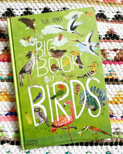The Big Book of Birds | Yuval Zommer (Author)