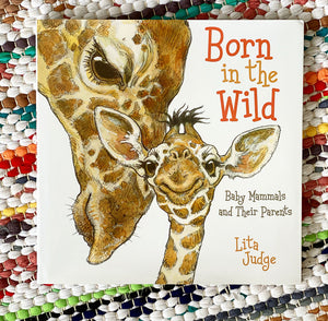 Born in the Wild: Baby Animals and Their Parents | Lita Judge